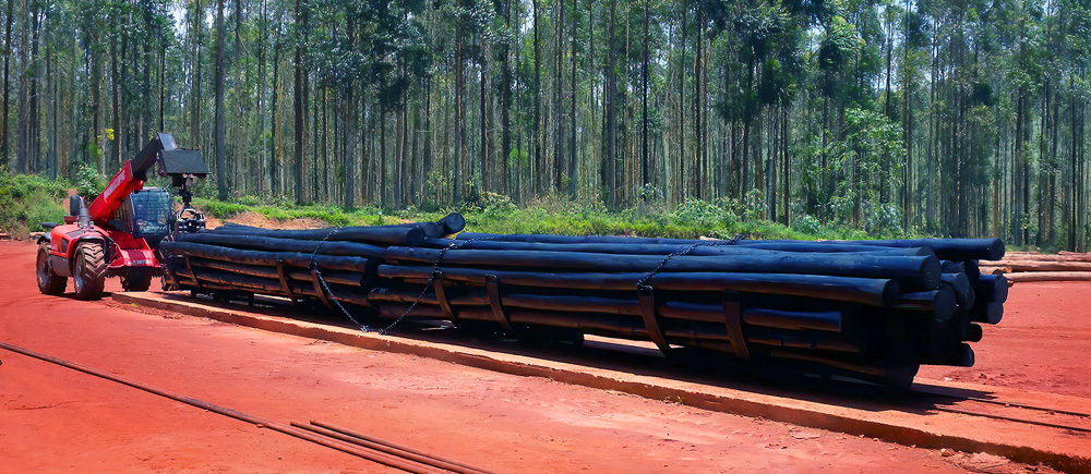IWT-Moldrup creosote wood impregnation plant